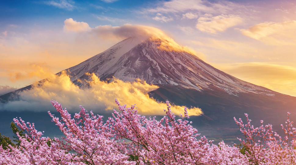日本 | 樱花 | 富士 | 云 | 投资 | 天空 | 雪 | 粉色 | 白色 | 橙色