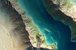 Managing Risk in a Disrupted yet Resilient Cycle